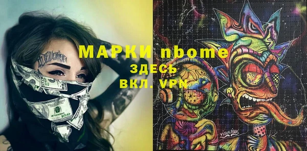 индика Кукмор