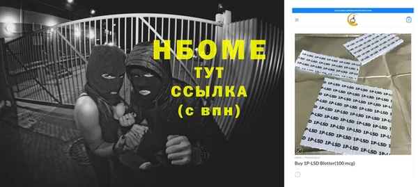 индика Кукмор