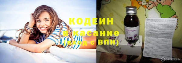 индика Кукмор