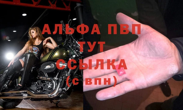 прущие крисы Кулебаки