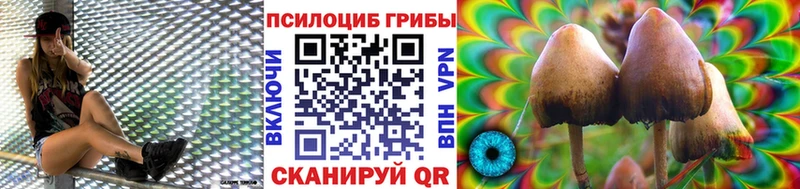 Купить закладки  Бокситогорск  Псилоцибиновые грибы прущие грибы 