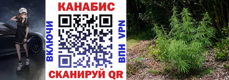 Бошки марихуана ГИДРОПОН  Купить  Бокситогорск 